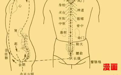 督脉穴位-督脉穴位全文免费阅读无弹窗