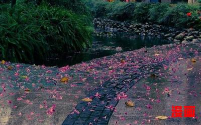 夜来风雨声_夜来风雨声免费阅读全文_夜来风雨声最新章节目录