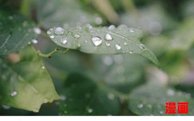 好雨知时节_好雨知时节最新网络小说排行榜-完本全本排行榜